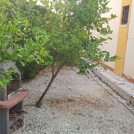 Punta Prima Bungalow Jardin Privado 托雷维耶哈 外观 照片