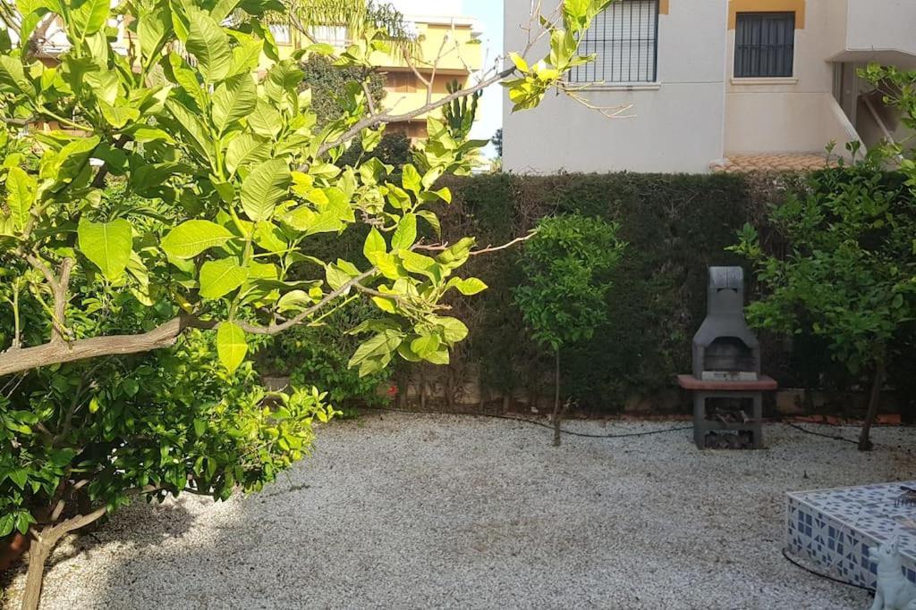 Punta Prima Bungalow Jardin Privado 托雷维耶哈 外观 照片