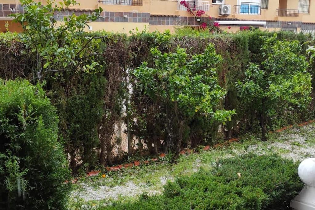 Punta Prima Bungalow Jardin Privado 托雷维耶哈 外观 照片