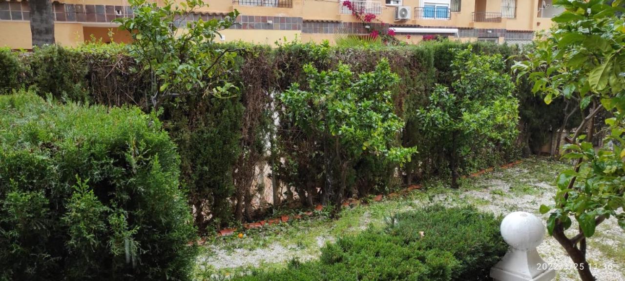 Punta Prima Bungalow Jardin Privado 托雷维耶哈 外观 照片