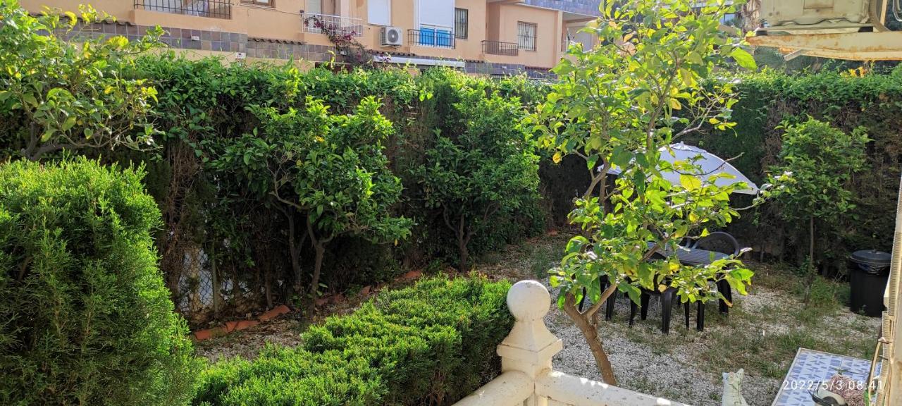 Punta Prima Bungalow Jardin Privado 托雷维耶哈 外观 照片