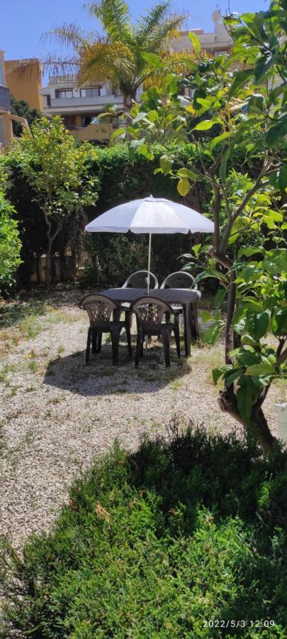 Punta Prima Bungalow Jardin Privado 托雷维耶哈 外观 照片
