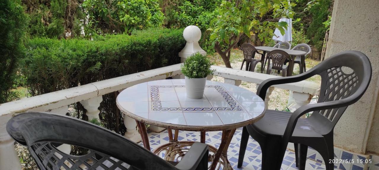 Punta Prima Bungalow Jardin Privado 托雷维耶哈 外观 照片