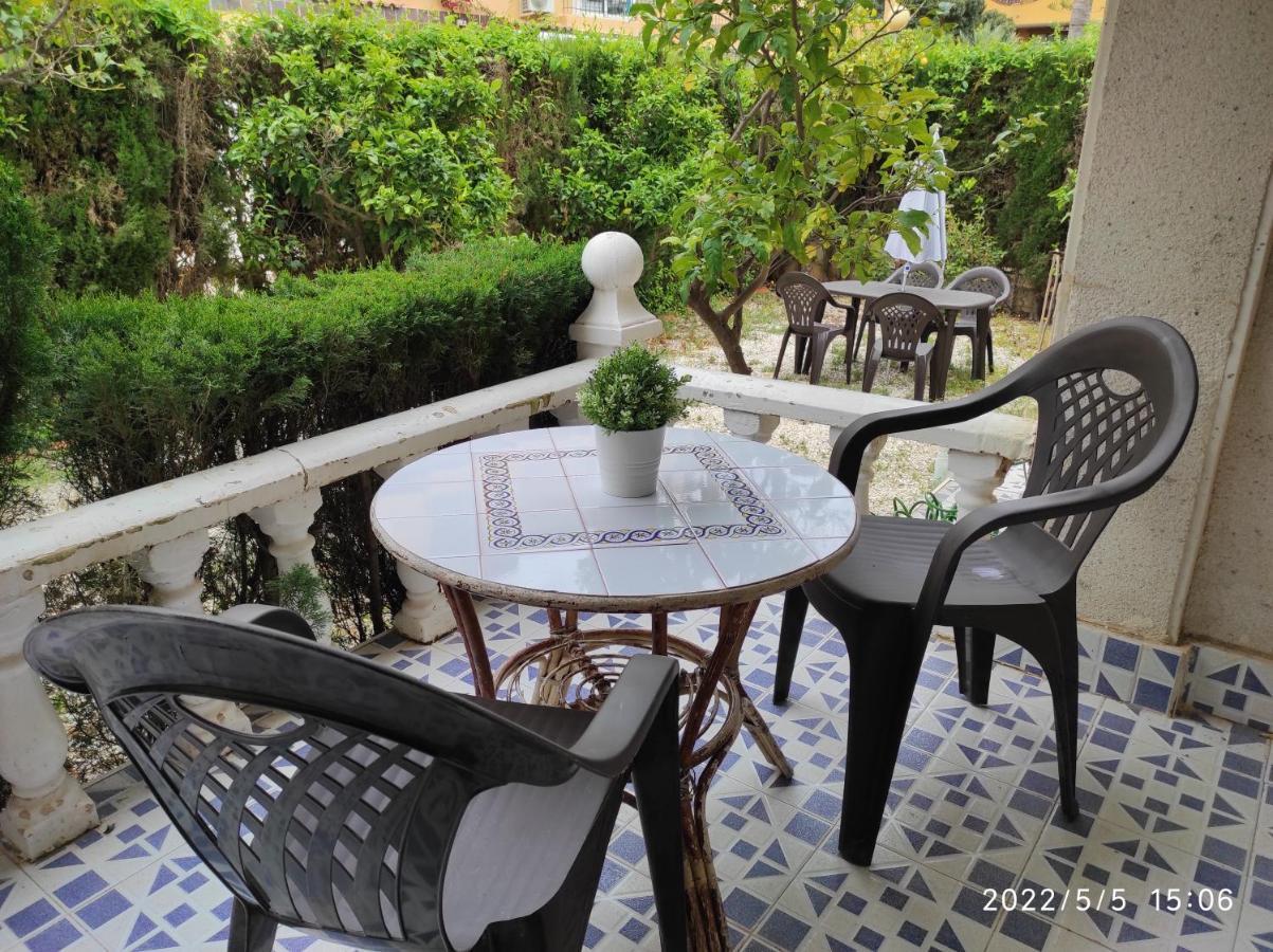 Punta Prima Bungalow Jardin Privado 托雷维耶哈 外观 照片